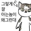 냥장콘 5