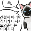 냥장콘 8