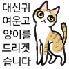 냥장콘 32