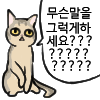 냥장콘 73