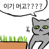 냥장콘 93