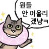 냥장콘 116