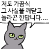 냥장콘 179