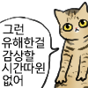 냥장콘 192